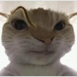 eokniss
